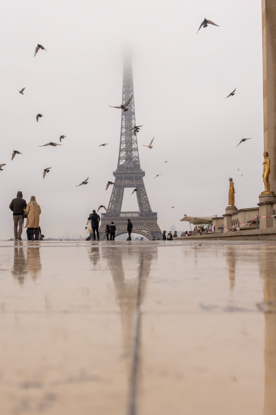 Eiffel Tower in Paris with fog, people and birds in the background.