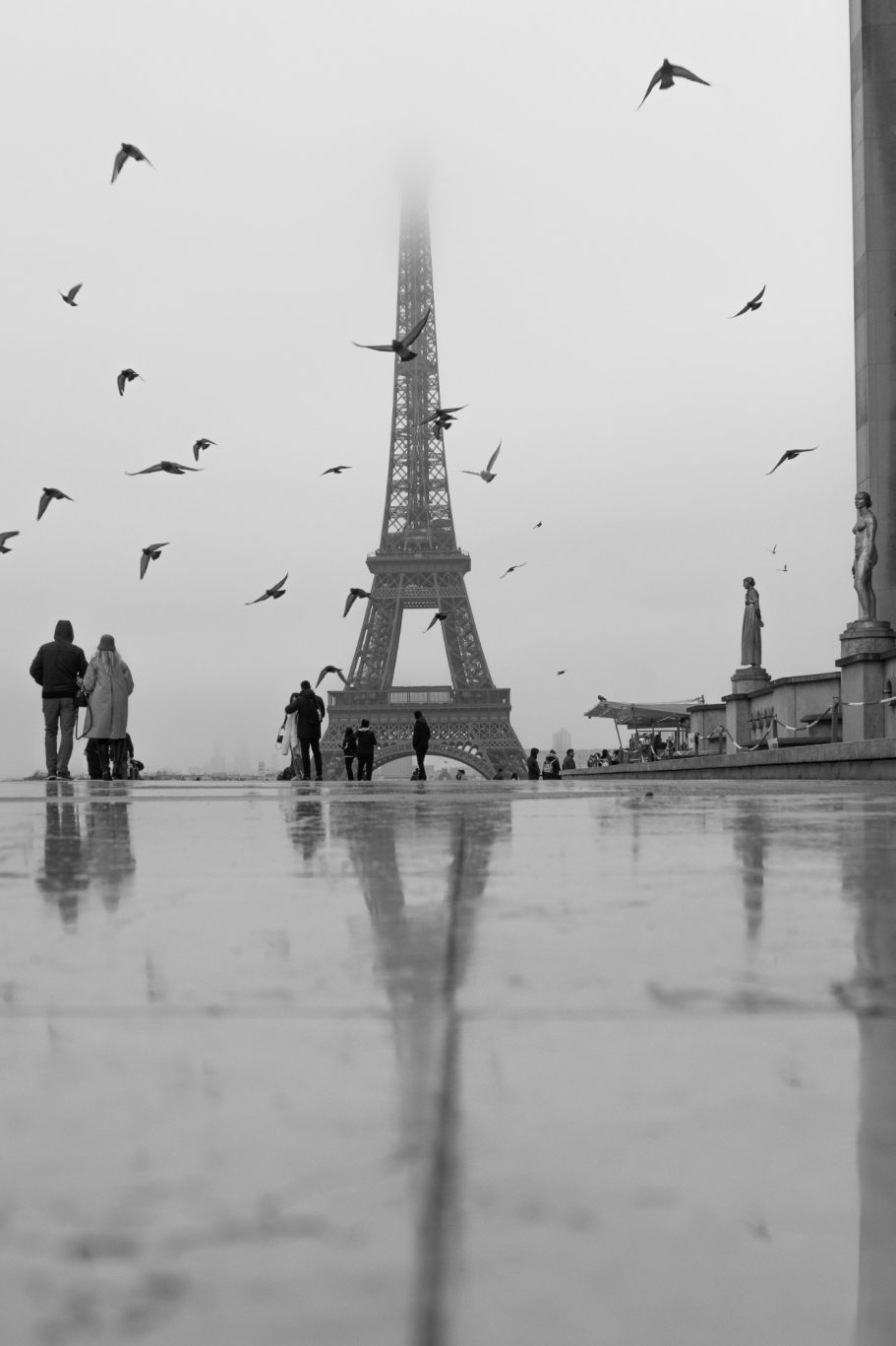 Eiffel Tower in fog with flying birds and reflective floor.
