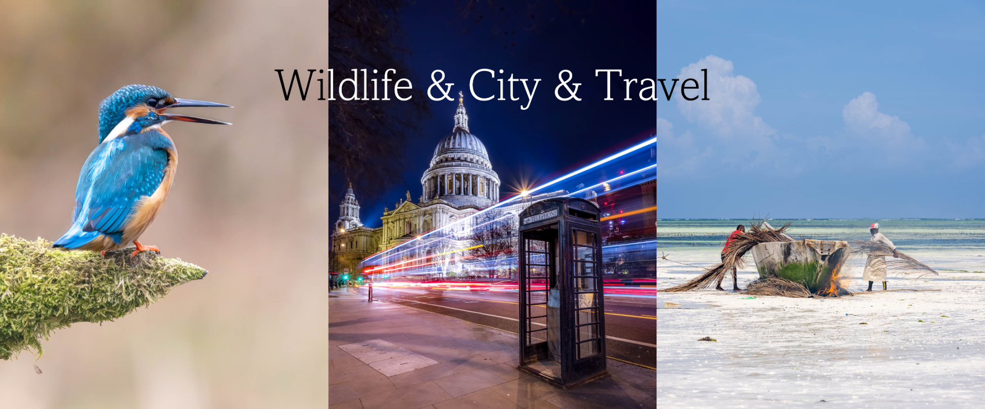 Header Wildlife, City & Travel Kingfisher, city view with telephone box and beach with sunbeds.